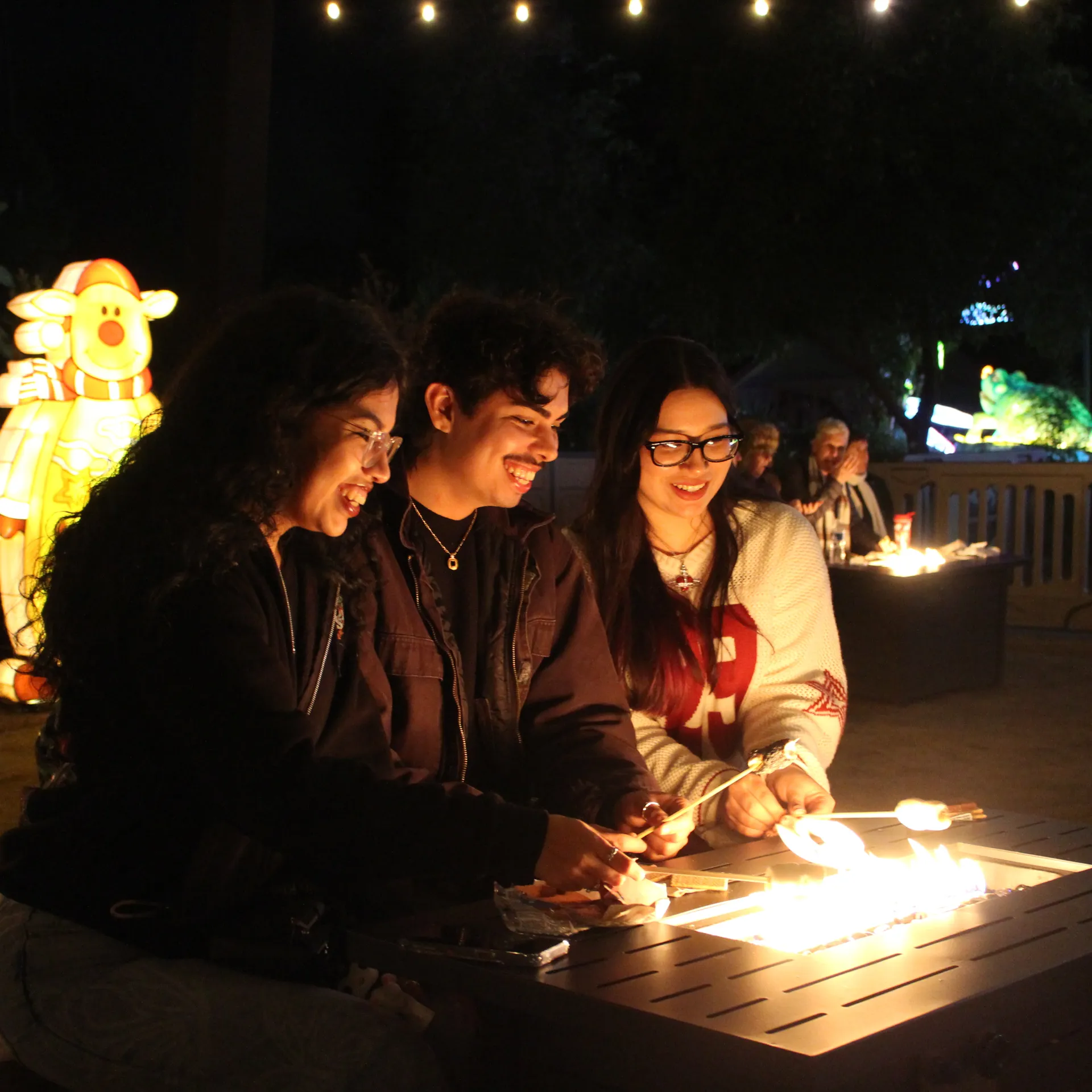 people roasting marshmallows