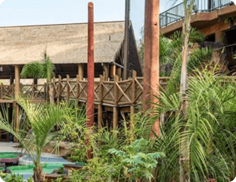 rainforest walkway
