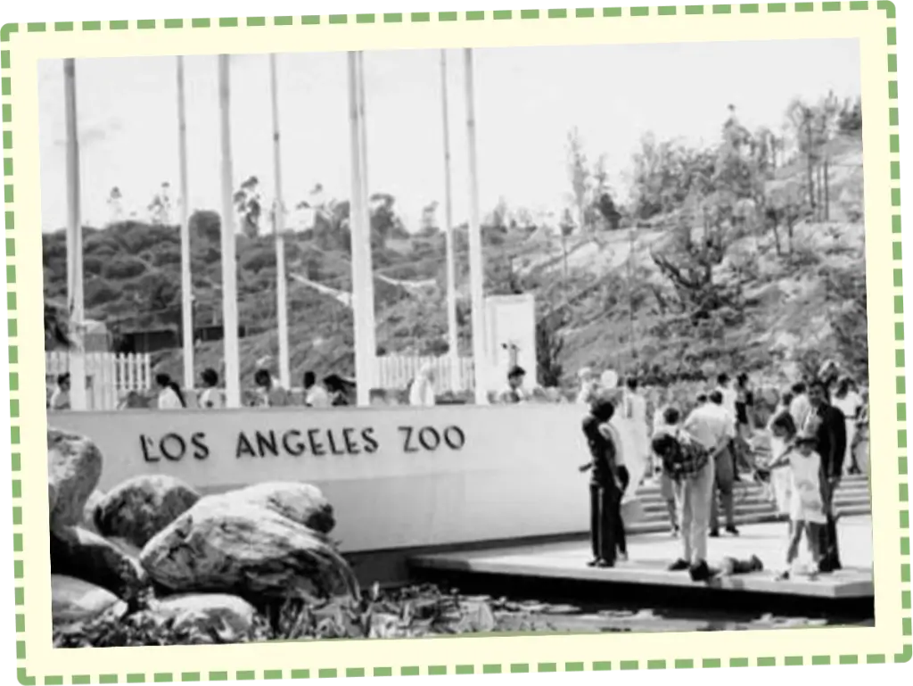 zoo entrance in 1966